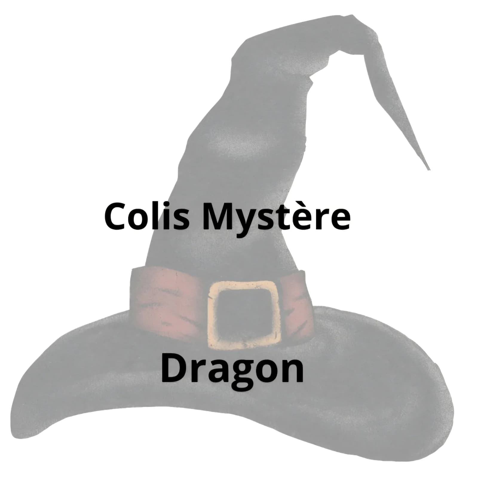 Illustration de chapeau pointu gris avec ceinture et inscription Colis Mystère Dragon